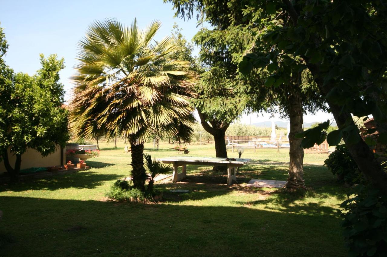 קסטנייטו קרדוצ'י Podere Serena מראה חיצוני תמונה